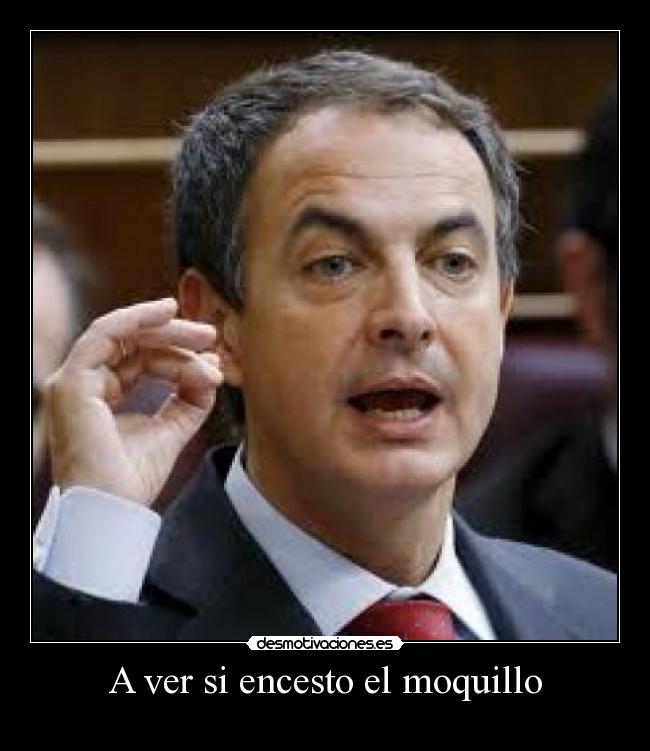 A ver si encesto el moquillo - 