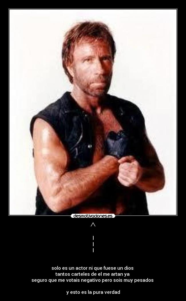 carteles chuck norris desmotivaciones