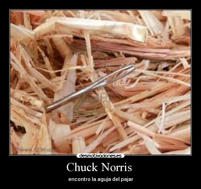 Chuck Norris - encontro la aguja del pajar