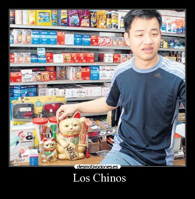 carteles los tipicos chinos que persiguen tienda ponen muy nervioso desmotivaciones