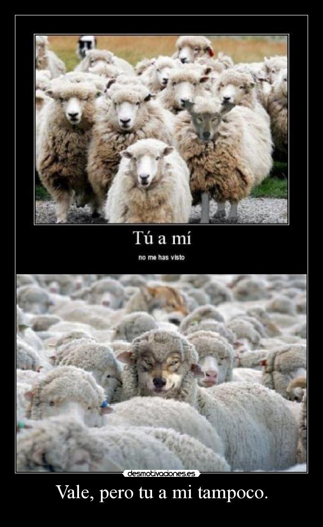 Vale, pero tu a mi tampoco. -