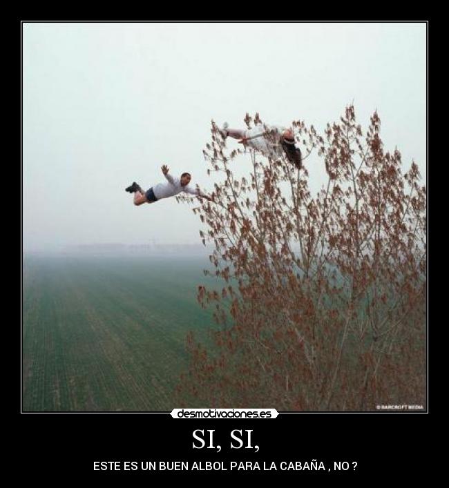 SI, SI, - ESTE ES UN BUEN ALBOL PARA LA CABAÑA , NO ?