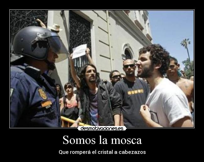 Somos la mosca -