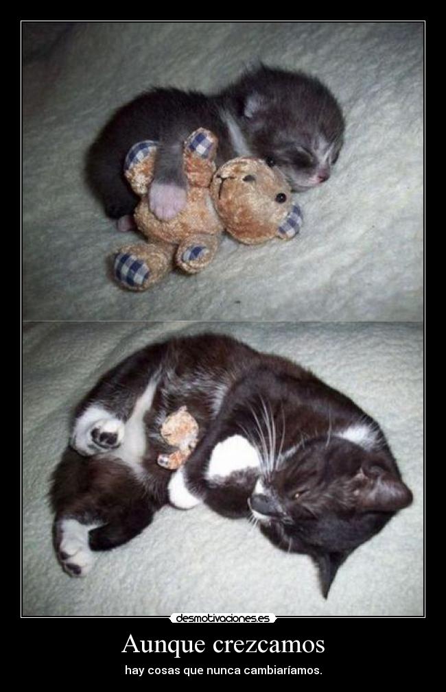 Aunque crezcamos - hay cosas que nunca cambiaríamos.