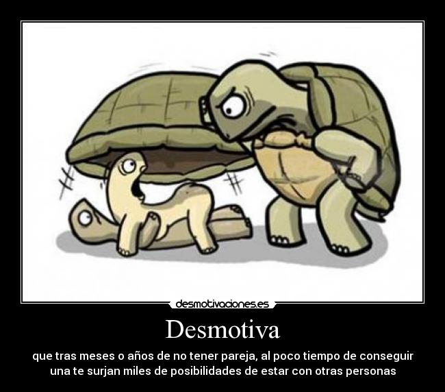 Desmotiva - que tras meses o años de no tener pareja, al poco tiempo de conseguir
una te surjan miles de posibilidades de estar con otras personas