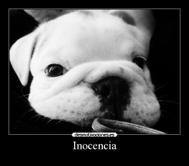 Inocencia - 