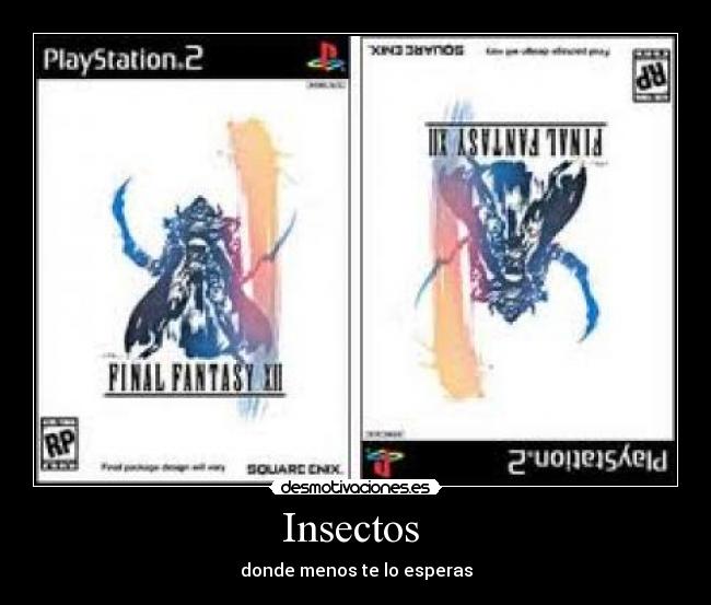 Insectos - donde menos te lo esperas