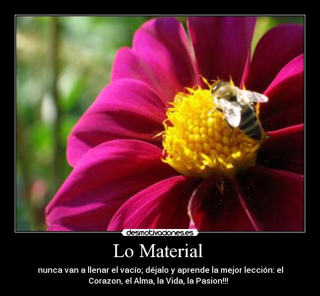 Lo Material  - nunca van a llenar el vacío; déjalo y aprende la mejor lección: el
Corazon, el Alma, la Vida, la Pasion!!!  