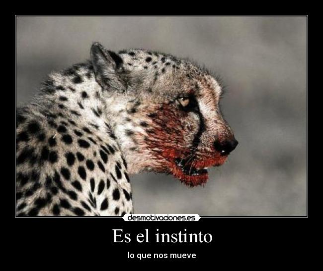 Es el instinto -