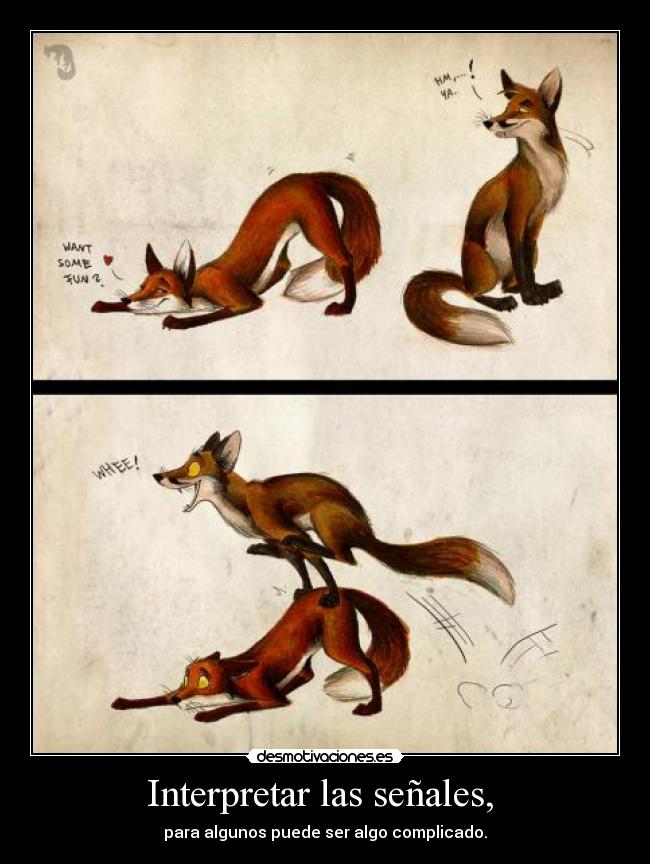 Interpretar las señales, -