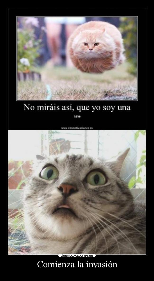 carteles invasion desmotivaciones