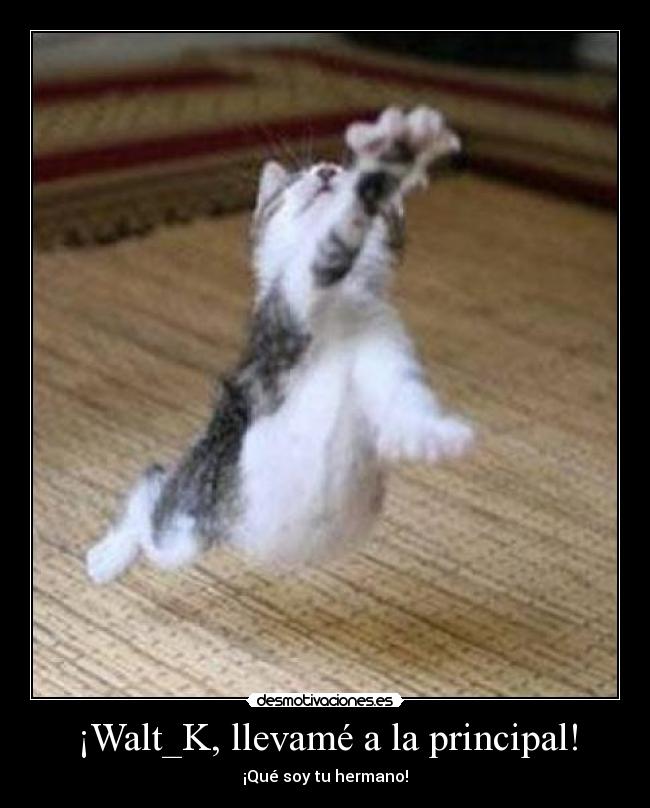 ¡Walt_K, llevamé a la principal! -