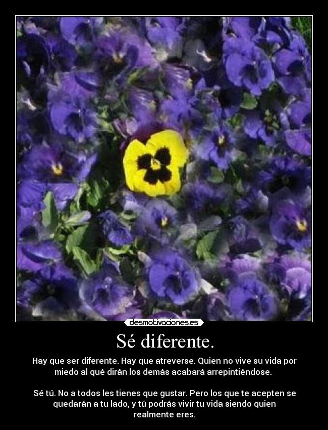 Sé diferente. - Hay que ser diferente. Hay que atreverse. Quien no vive su vida por
miedo al qué dirán los demás acabará arrepintiéndose.
Sé tú. No a todos les tienes que gustar. Pero los que te acepten se
quedarán a tu lado, y tú podrás vivir tu vida siendo quien
realmente eres.