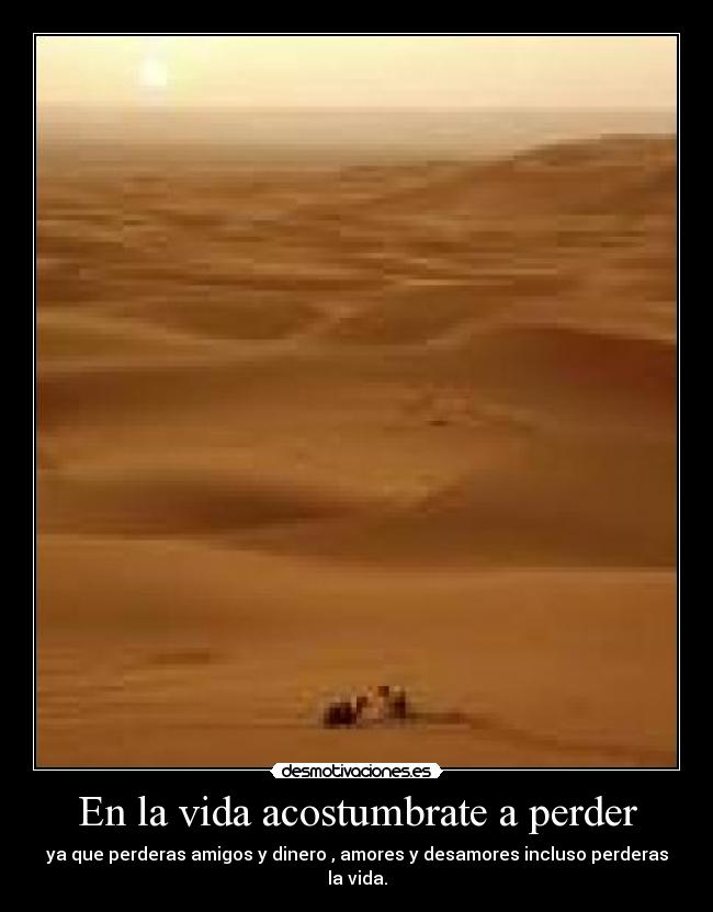 carteles vida walt_k desmotivaciones