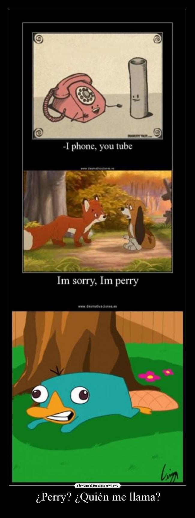 ¿Perry? ¿Quién me llama? -
