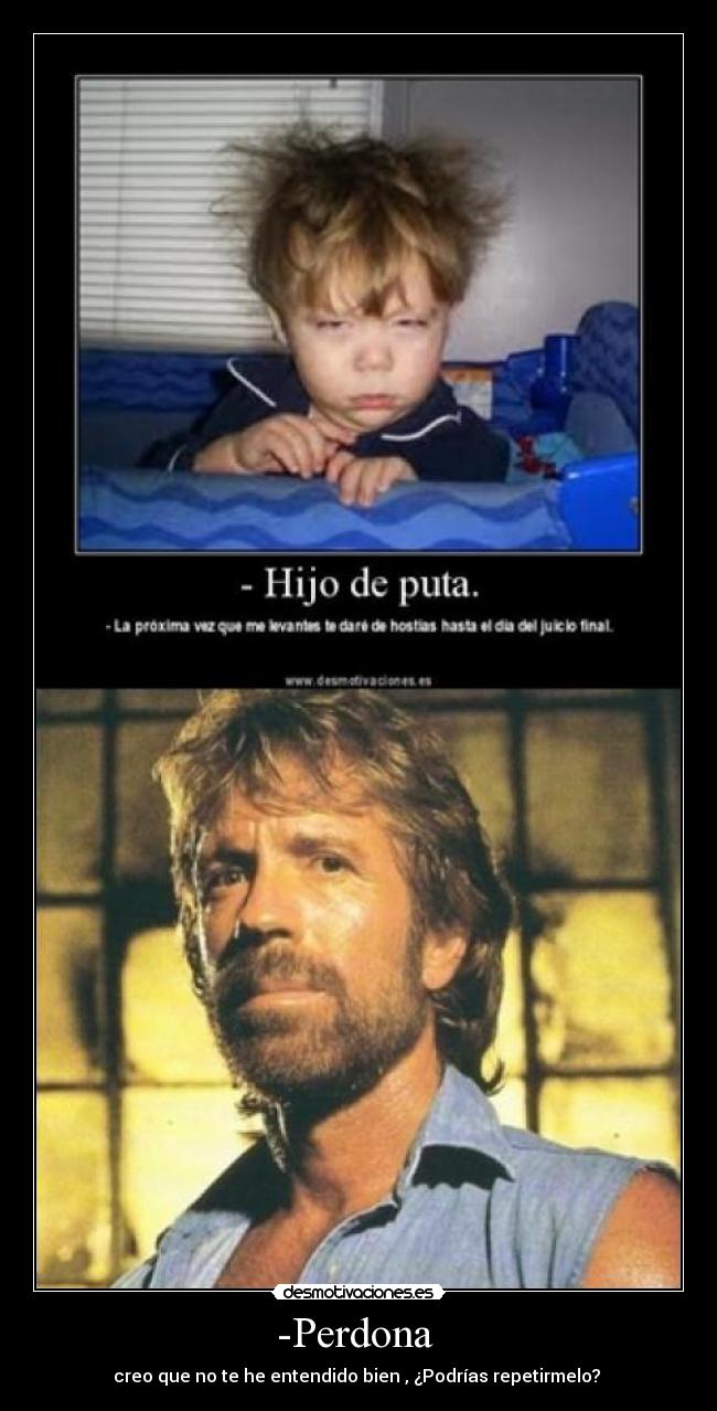 -Perdona - creo que no te he entendido bien , ¿Podrías repetirmelo?