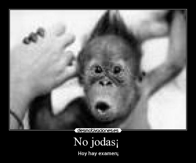 No jodas¡  - 