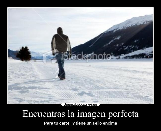 Encuentras la imagen perfecta - 