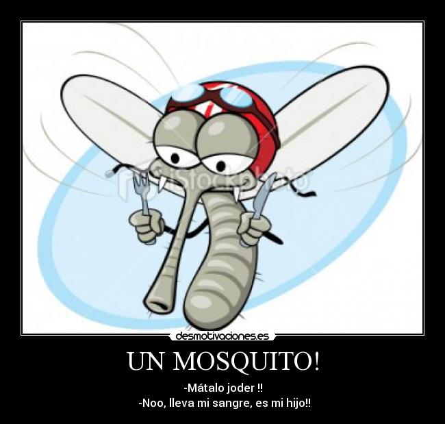 UN MOSQUITO! -