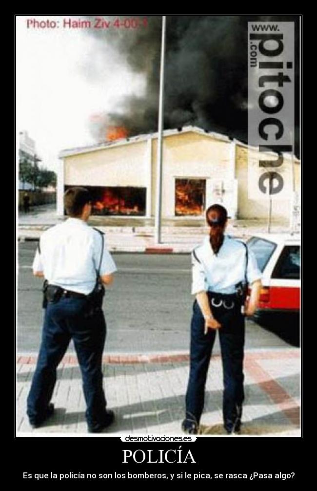POLICÍA -