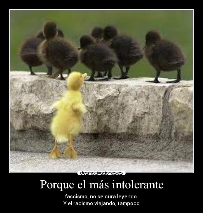 Porque el más intolerante - fascismo, no se cura leyendo.
Y el racismo viajando, tampoco