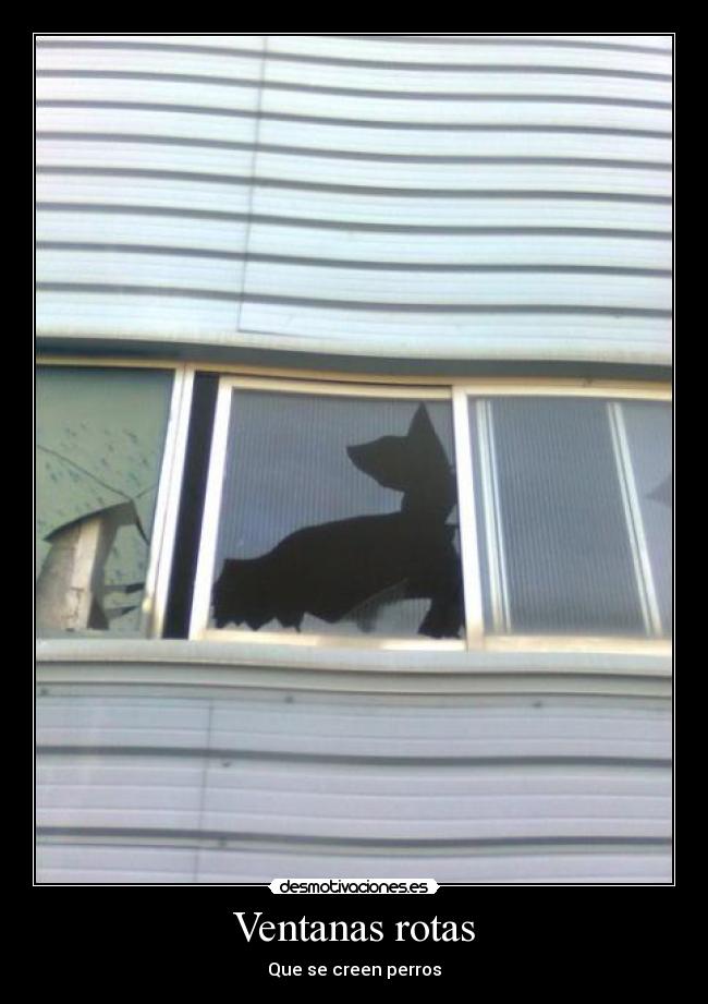 Ventanas rotas - Que se creen perros