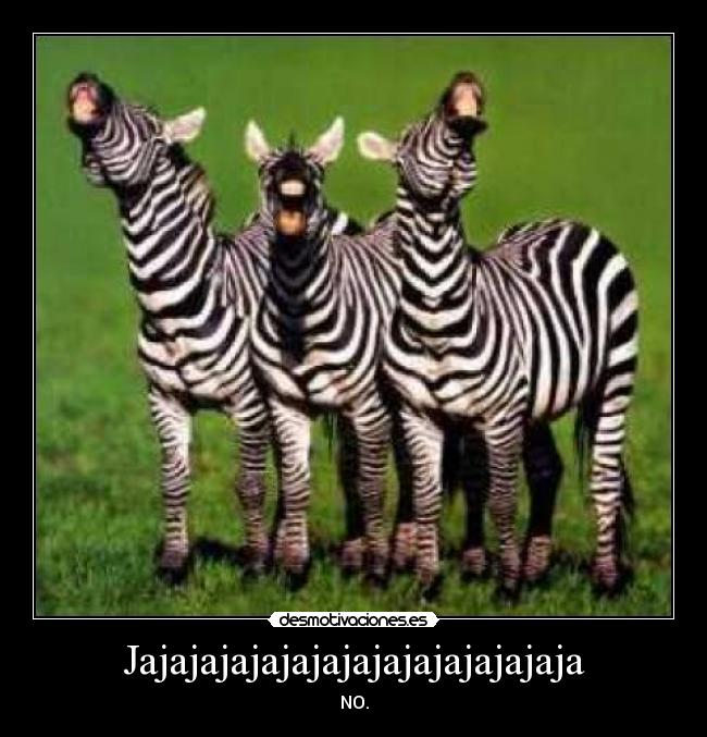 Jajajajajajajajajajajajajajaja - NO.