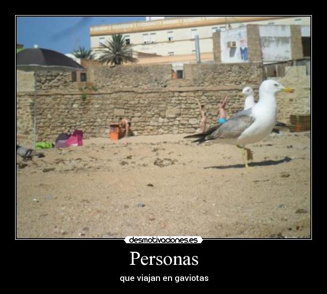 Personas - que viajan en gaviotas