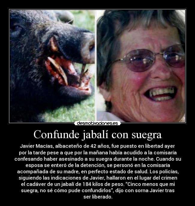 carteles suegra jaja jabali gracioso caza desmotivaciones