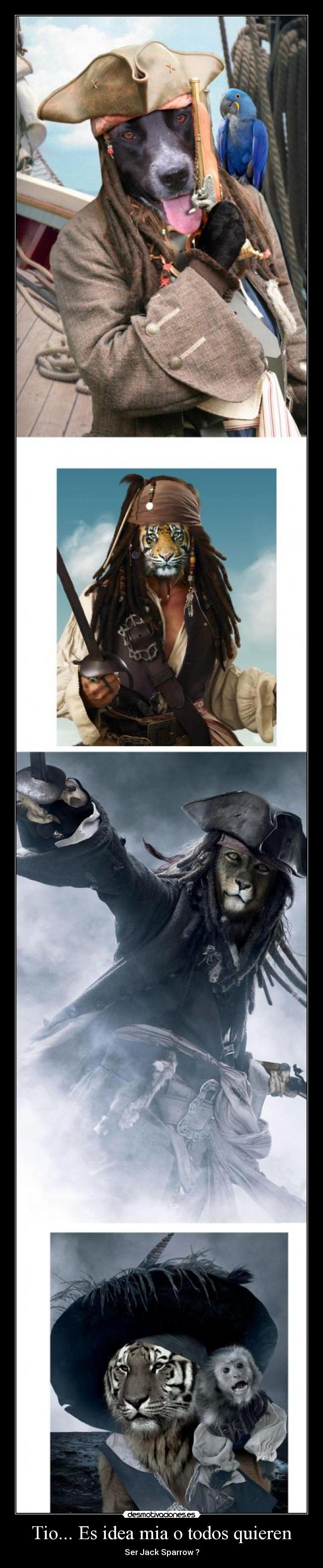 carteles jacksparrownivelanimaltodosanimales desmotivaciones