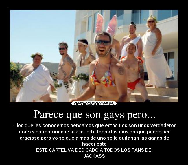 Parece que son gays pero... -