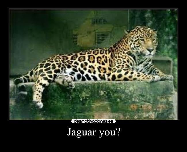 Jaguar you? -