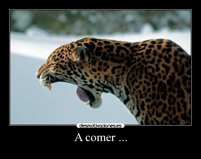 A comer ... -