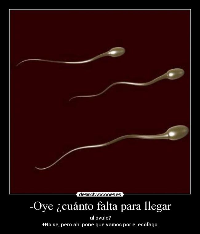 -Oye ¿cuánto falta para llegar - al óvulo?
+No se, pero ahí pone que vamos por el esófago.