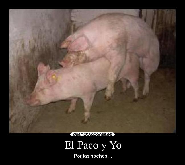 El Paco y Yo - Por las noches....