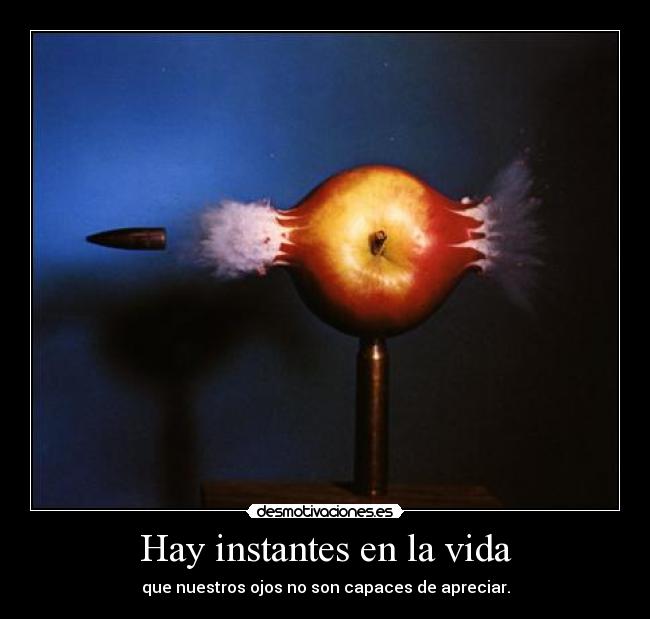 Hay instantes en la vida - que nuestros ojos no son capaces de apreciar.