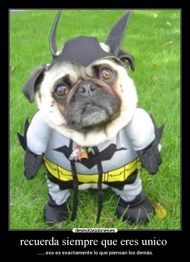 recuerda siempre que eres unico  - 