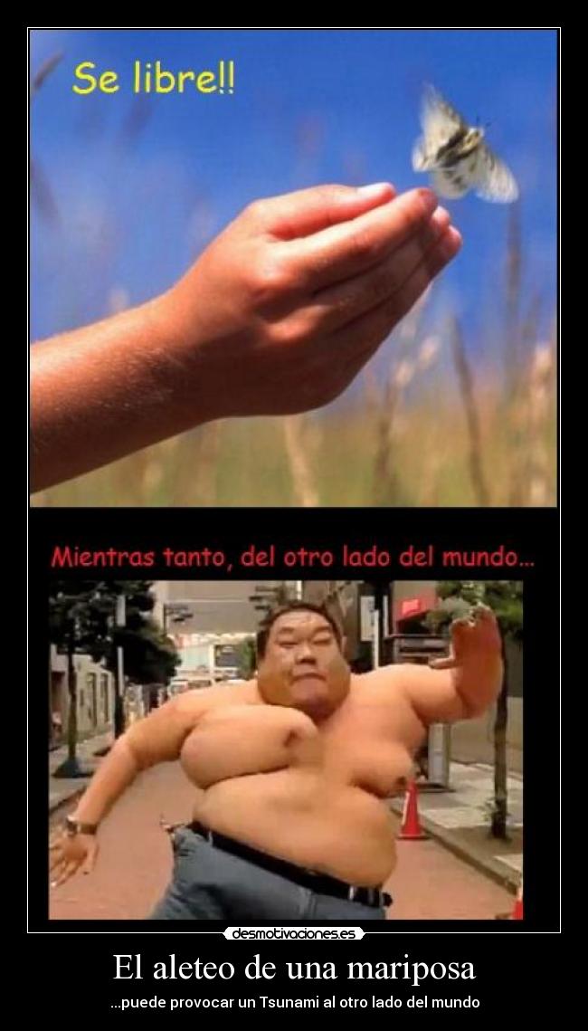 El aleteo de una mariposa - ...puede provocar un Tsunami al otro lado del mundo