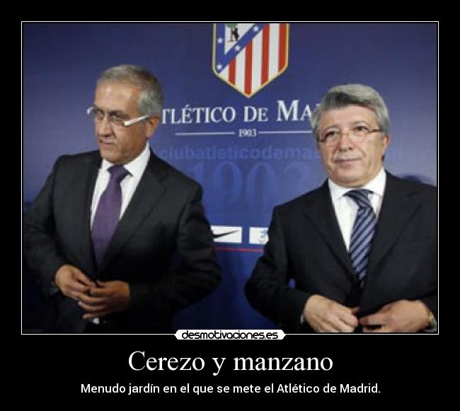 Cerezo y manzano -