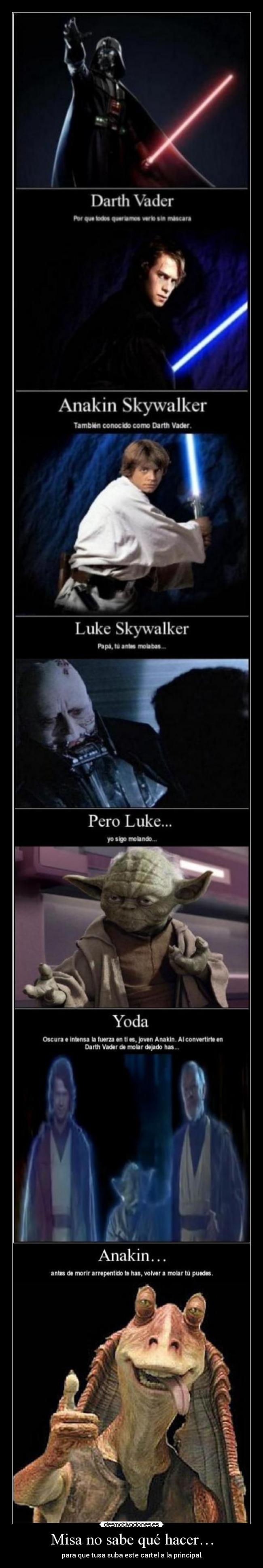 Misa no sabe qué hacer… -