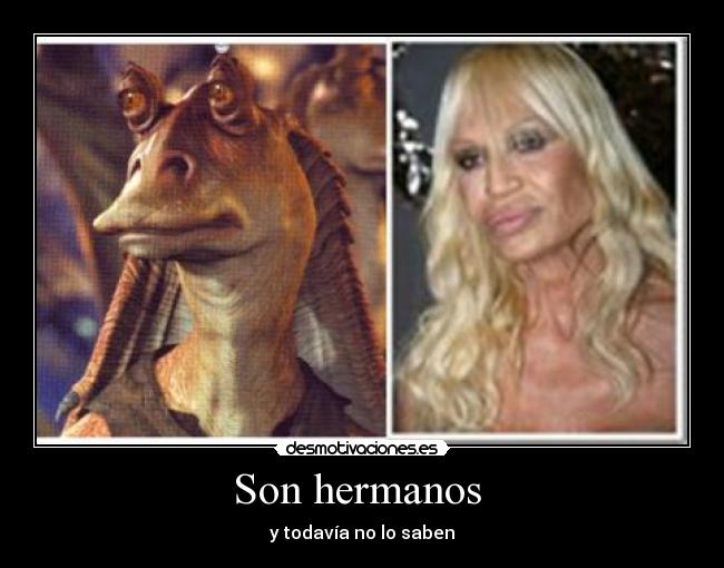 carteles lamai desmotivaciones