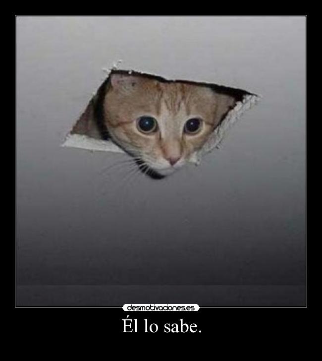 Él lo sabe. - 