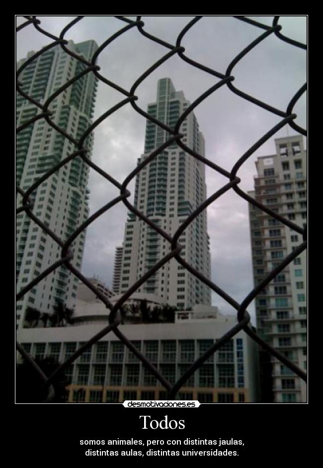 carteles realidad desmotivaciones