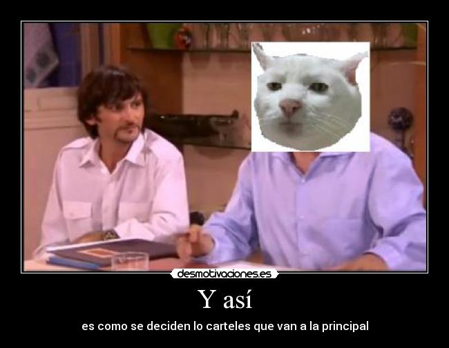 Y así - es como se deciden lo carteles que van a la principal