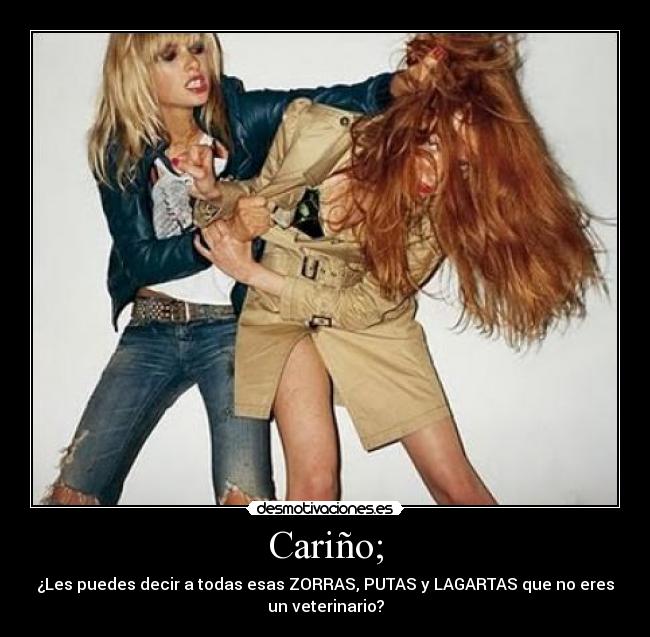 Cariño; - ¿Les puedes decir a todas esas ZORRAS, PUTAS y LAGARTAS que no eres
un veterinario?