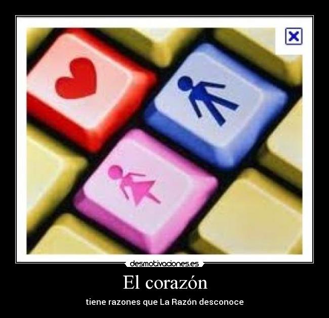 El corazón -