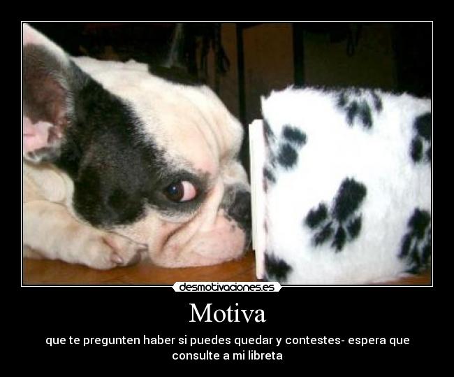 Motiva - que te pregunten haber si puedes quedar y contestes- espera que consulte a mi libreta