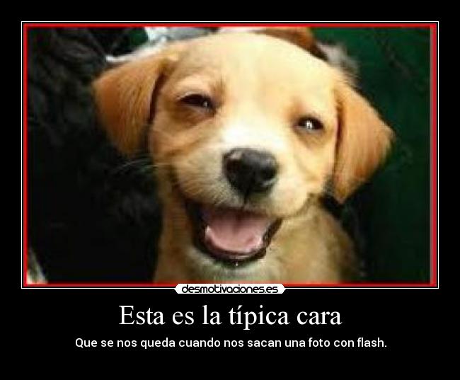 Esta es la típica cara - 