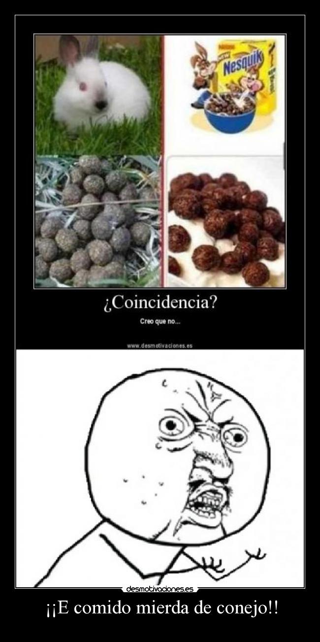 carteles comido mierda conejo desmotivaciones