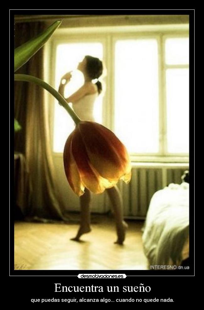 Encuentra un sueño - 